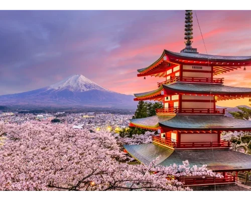Tokyo-5+